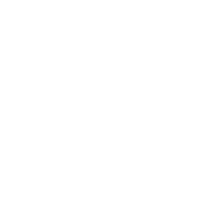 Solita Wagyu Burgers Sheffield